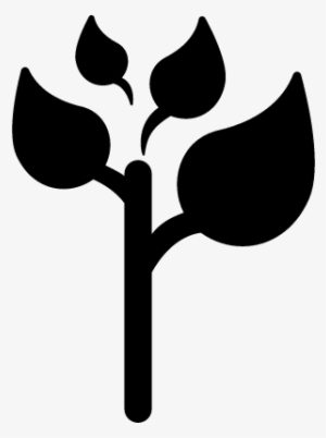 Four Leaves Plant Vector - Scalable Vector Graphics #2927648