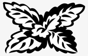 Vector Illustration Of Lemon Balm Perennial Herbaceous - Lemon Balm #2927755