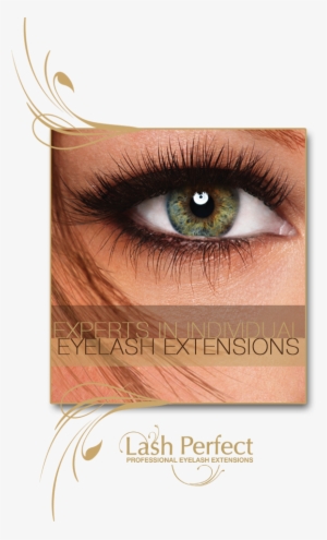 Lash Perfect #2928462