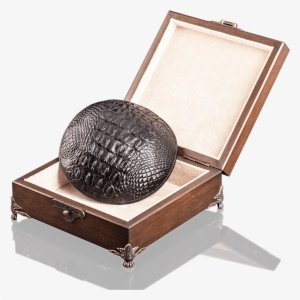 Kippah Crocodile - Kippah #2929032