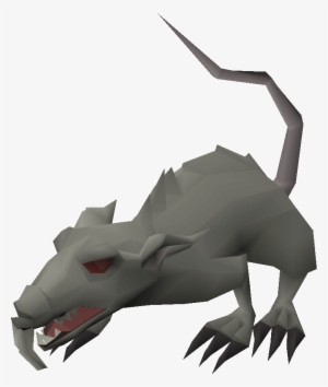 Blessed Giant Rat - Wiki #2929588