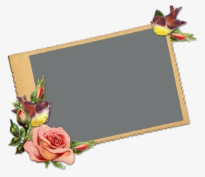 You Can Click Here To - Vintage Bird Clip Art #2929802