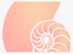 Nautilus Shell Clip Art #2931195
