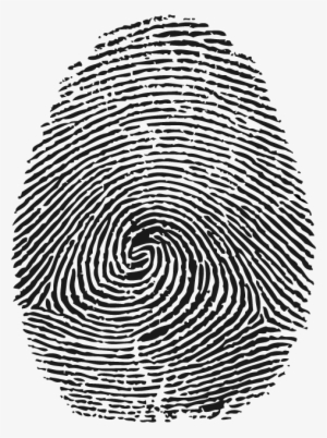 Fingerprinting - Fingerprint Texture Png #2933025