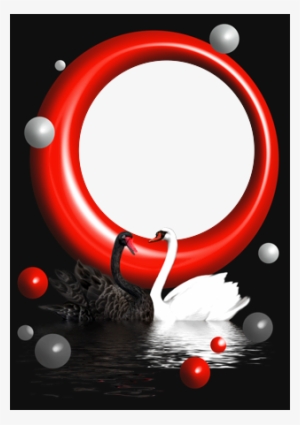 Cisnes Blancos Y Negros - German Football Association #2933132