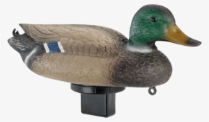 Lucky Duck/edge By Expedite Quiver Duck Drake - Edge By Expedite Quiver Duck Decoy #2933556