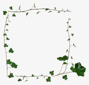 Publicat De Eu Ciresica La - Transparent Vine Border Png #2934586