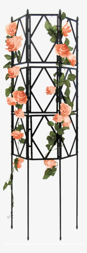 Gardening Stand Climbing Vine Plant Climbing Vines - Asian Virginsbower #2934598