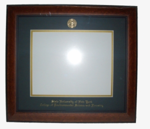 Landsdowne Diploma Frame - Diploma #2934658