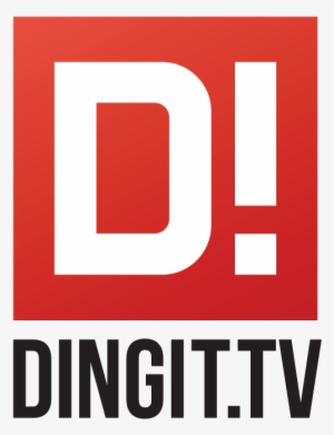 We've Had An Amazing 12 Months, And We've Grown Steadily - Dingit Tv #2934831