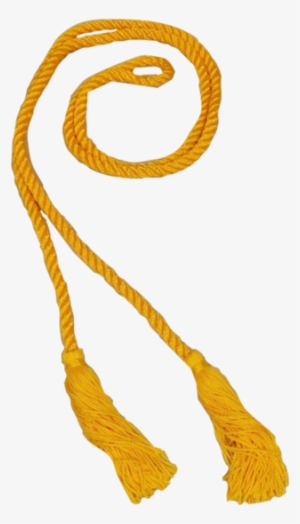 All Graduation Accessories - Graduation Ceremony #2934856