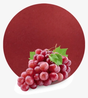 It Can Be Utilized In Wine Manufacturing, To Correct - 1 Grapes #2935451