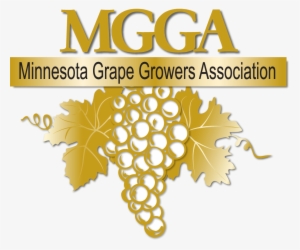 Gold Grapes Png #2935563