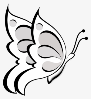 Outline Clip Art Blank At Clker Com - Butterfly Clip Art Outline #2935731