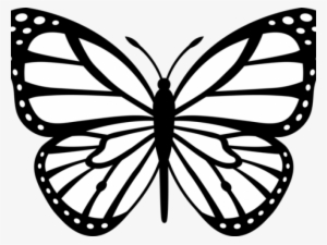 Butterfly Drawings - Google Search - Butterfly Drawing #2935758