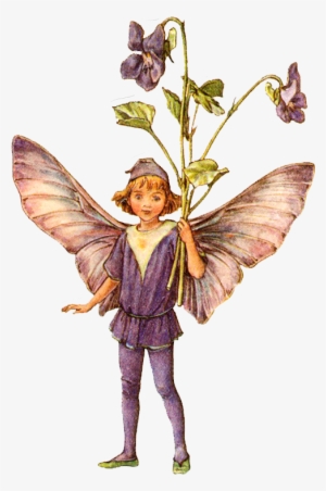 Png Image Information - Flower Fairies One Hundred Postcards By Cicely Mary #2936043