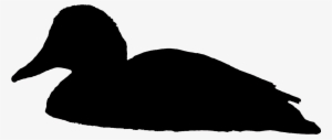 Comments - Swimming Duck Silhouette Png #2936368 Comments - Swimming Duck Silhouette Png #2936368