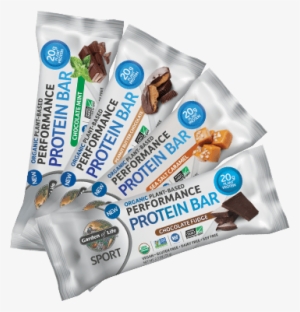 Garden Of Life Sport Performance Protein Bar #2937013