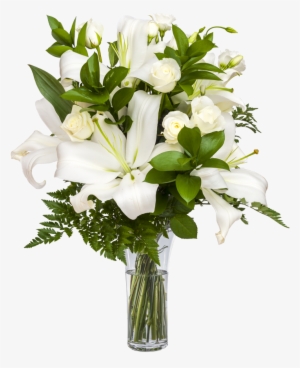 Sonrisas Blancas " El Blanco Es El Símbolo De Pureza, - Person #2937239