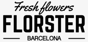 Florster Ramo De Flores Barcelona - San Serif Condensed Free #2937454