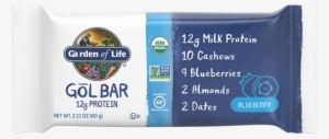 Garden Of Life Gol Bar Blueberry - Garden Of Life #2937479