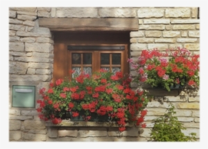 Window Box Flower Arrangement, Burgundy, France Poster - Burgundy #2939644