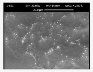 Spherical Shape Morphology And Narrow Particle Size - Outer Space #2939669
