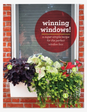 Window Boxes To Be Proud Of - United Way Worldwide #2939753