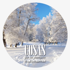 Felices Fiestas #2940831