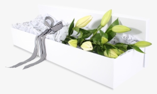 Boxed Lilies - Boxed.com #2940925
