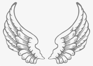 Angel Wings Png Transparent Angel Wings Png Image Free Download - angel wings outline png 2941303