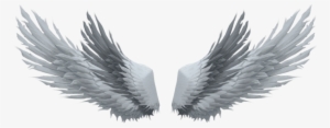 Algumas Asas Lindas Que Encontrei Pelo Google - ปีก เท่ ๆ Png #2941349
