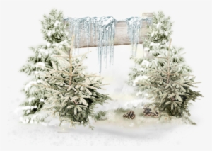 Hiver Tubes Hiver Paysages Neige Winter Background - Snow #2941353