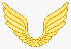 Open - Eagle #2941389