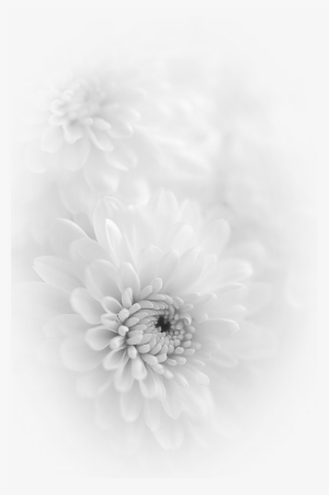 Artificial Flower #2942353
