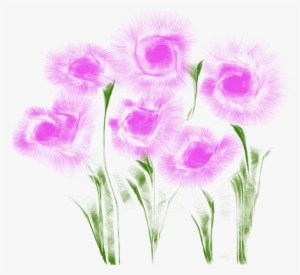 Flowers - Gilliflower #2942395