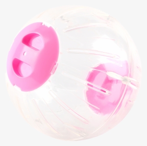 Carno Carno Hamster Ball Chinchilla Rolling Ball Hamster - Circle #2942560