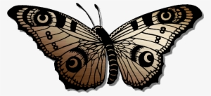 Copper Butterfly Logo - Coppers #2942997