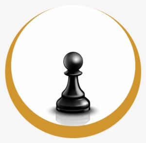 The Pawn Website Package - Website #2943219