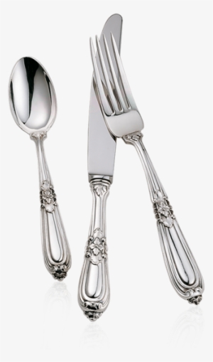 Esteval Place Setting - Silver #2944597
