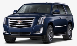 2018 Escalade Premiumluxury Jellybean #2944994
