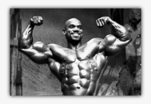 Flex Wheeler - Body Builder Flexing Arm #2945469