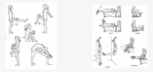 Is The Only Quadricep Muscle That Crosses The Hip Joint - Joint #2945686