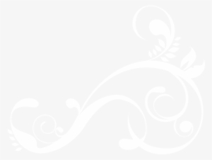 Flourish Test - Twitter Bird White Transparent #2946191