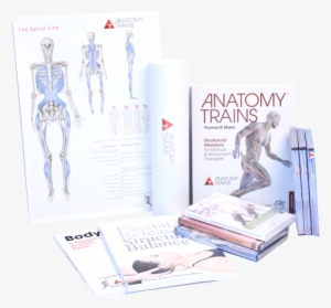 Anatomy Trains For Movement Therapy - Anatomy Trains 3e By Thomas Myers #2946775