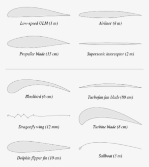 The Air Stops Moving Over The Wing Then Lift Cannot - Aerodynamic Profile #2946799