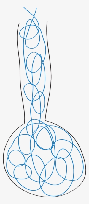 High-frequency Ventilation - Oscillation #2947226