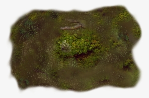 06 Feb 2009 - Moss #2947293