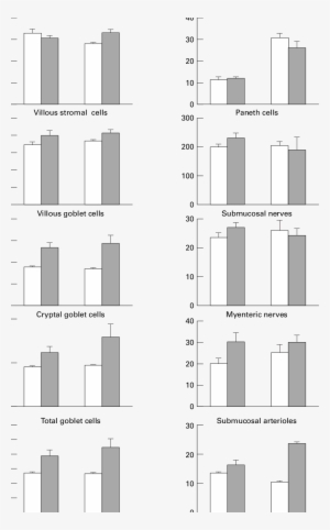 Evects Of The Fibre And Flora On The Morphometry Of - Monochrome #2947501