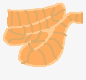 Small Intestine - Rebelde #2947545